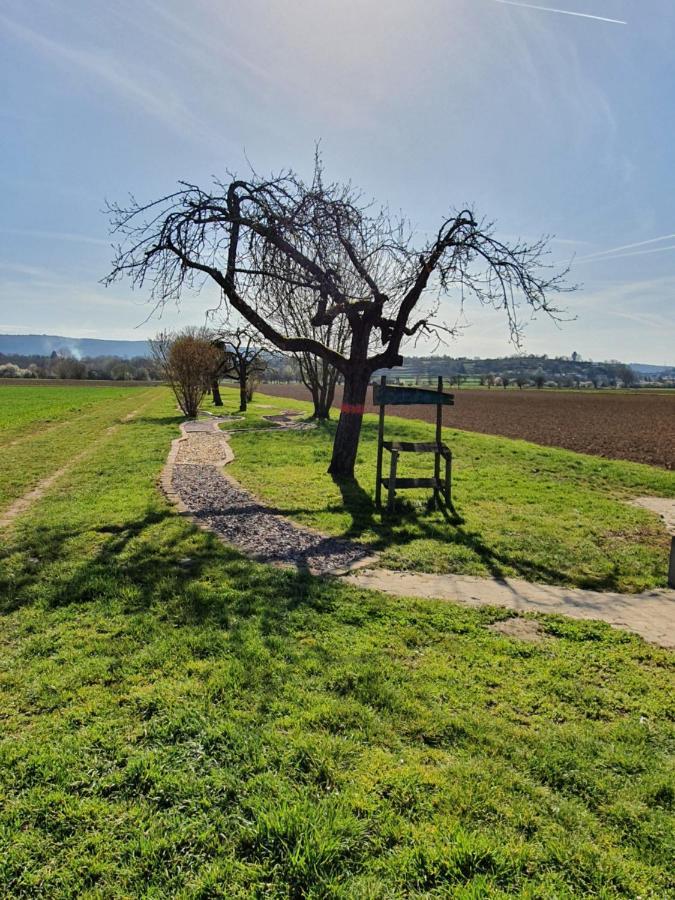 Ferienwohnung Zum Schlossblick Naehe Europa Park Mahlberg Eksteriør billede