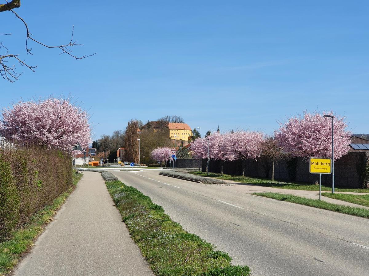 Ferienwohnung Zum Schlossblick Naehe Europa Park Mahlberg Eksteriør billede